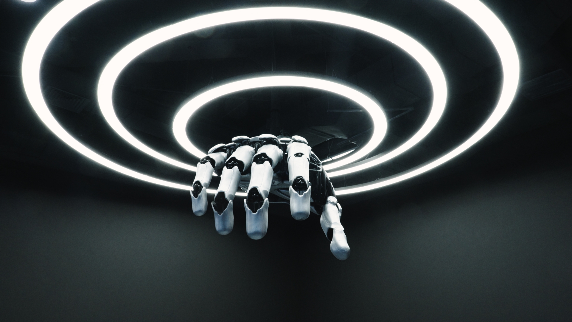 早鸟票限量开抢！本周末起，解锁机器人新玩法